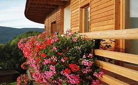 Hotel Dolomitenblick